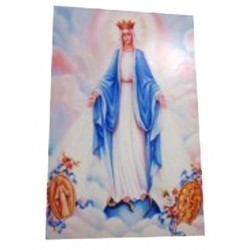 Carte prière Vierge Miraculeuse