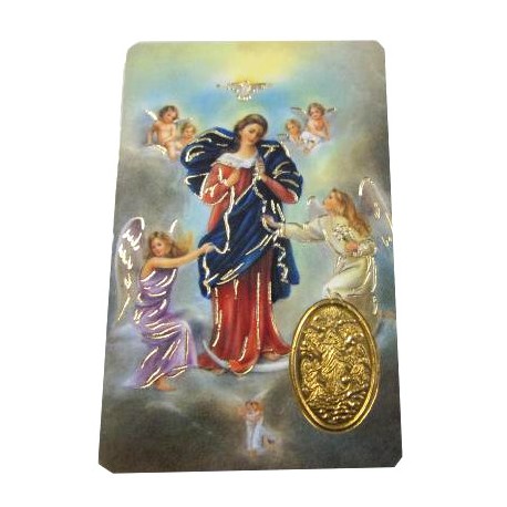 Carte prière Marie qui défait les noeuds avec médaille