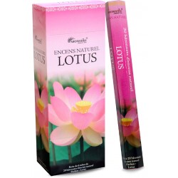Encens lotus "Aromatika" hexa
