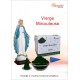 Vierge Miraculeuse "AROMATIKA POUDRE 100GR" (avec kit pour cônes)